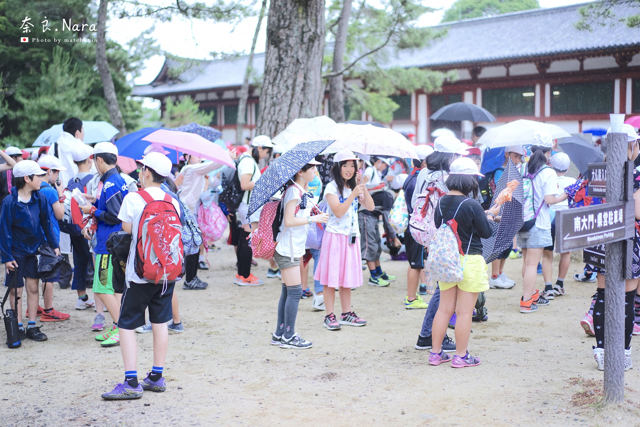 京都自助遊攻略