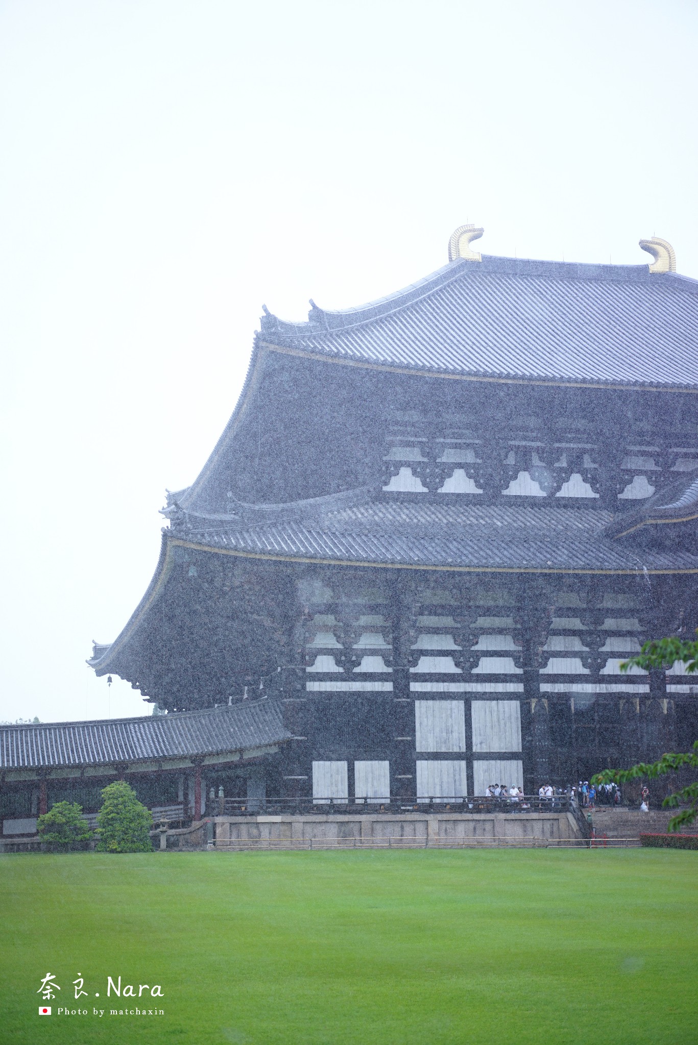 京都自助遊攻略