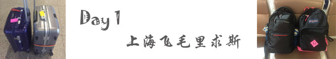 Day 1 :上海飞毛里求斯 Day 1 :上海飞毛里求斯