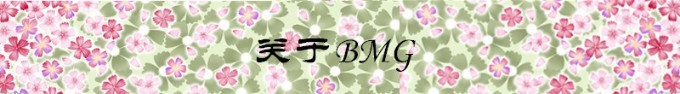 关于BMG 关于BMG