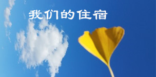 我们的住宿 我们的住宿