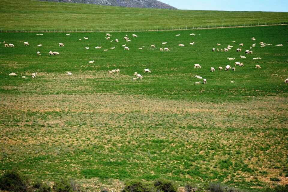 引用 蚂蜂窝用户路子 的图片