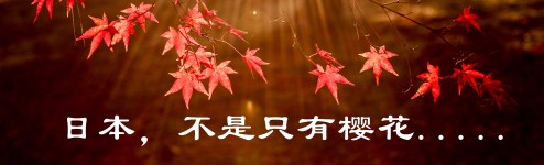 日本,不是只有樱花...... 日本,不是只有樱花......