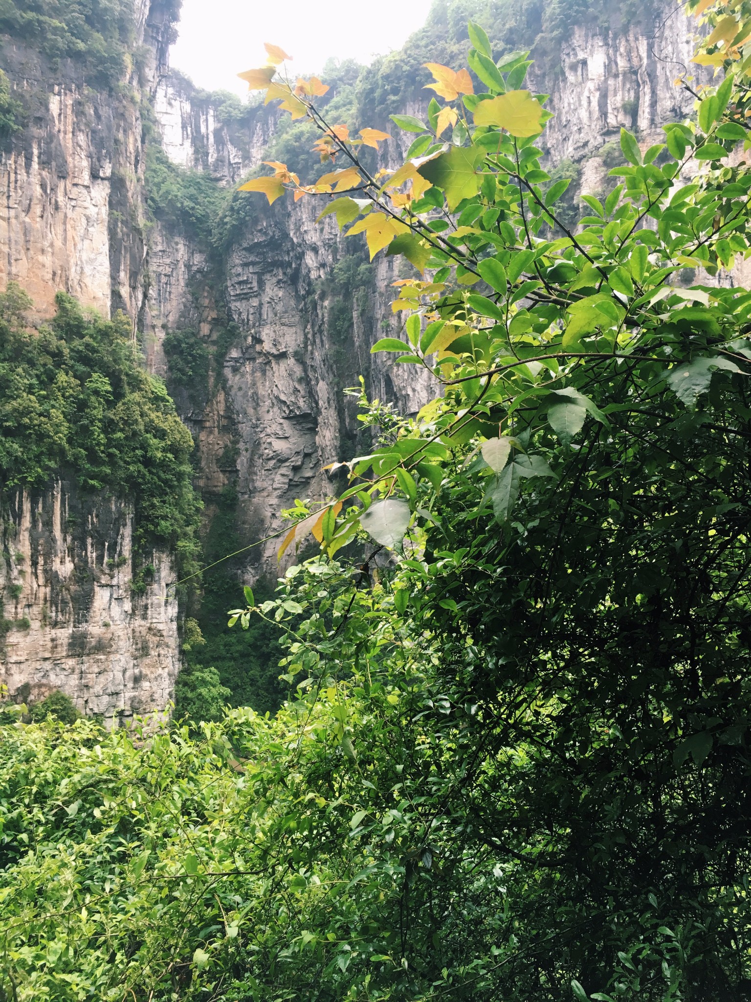 武隆县有多少人口