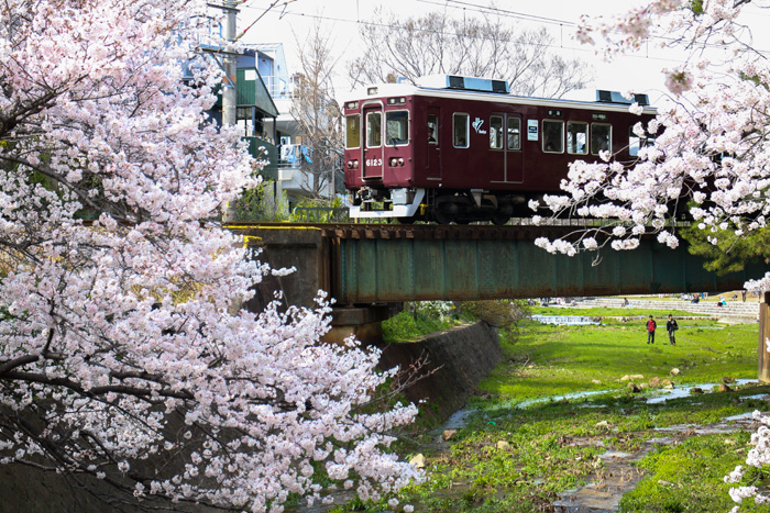 省钱利器74京都大阪神户宝冢阪急电车1日2日乘车劵京阪神间交通利器