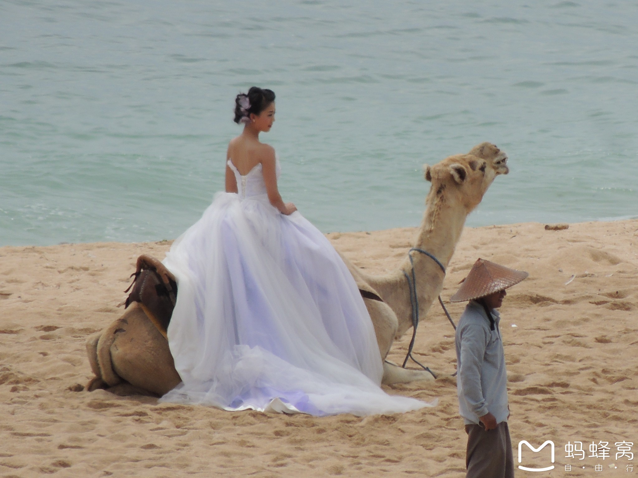 海滩婚纱照视频_海滩婚纱照(3)