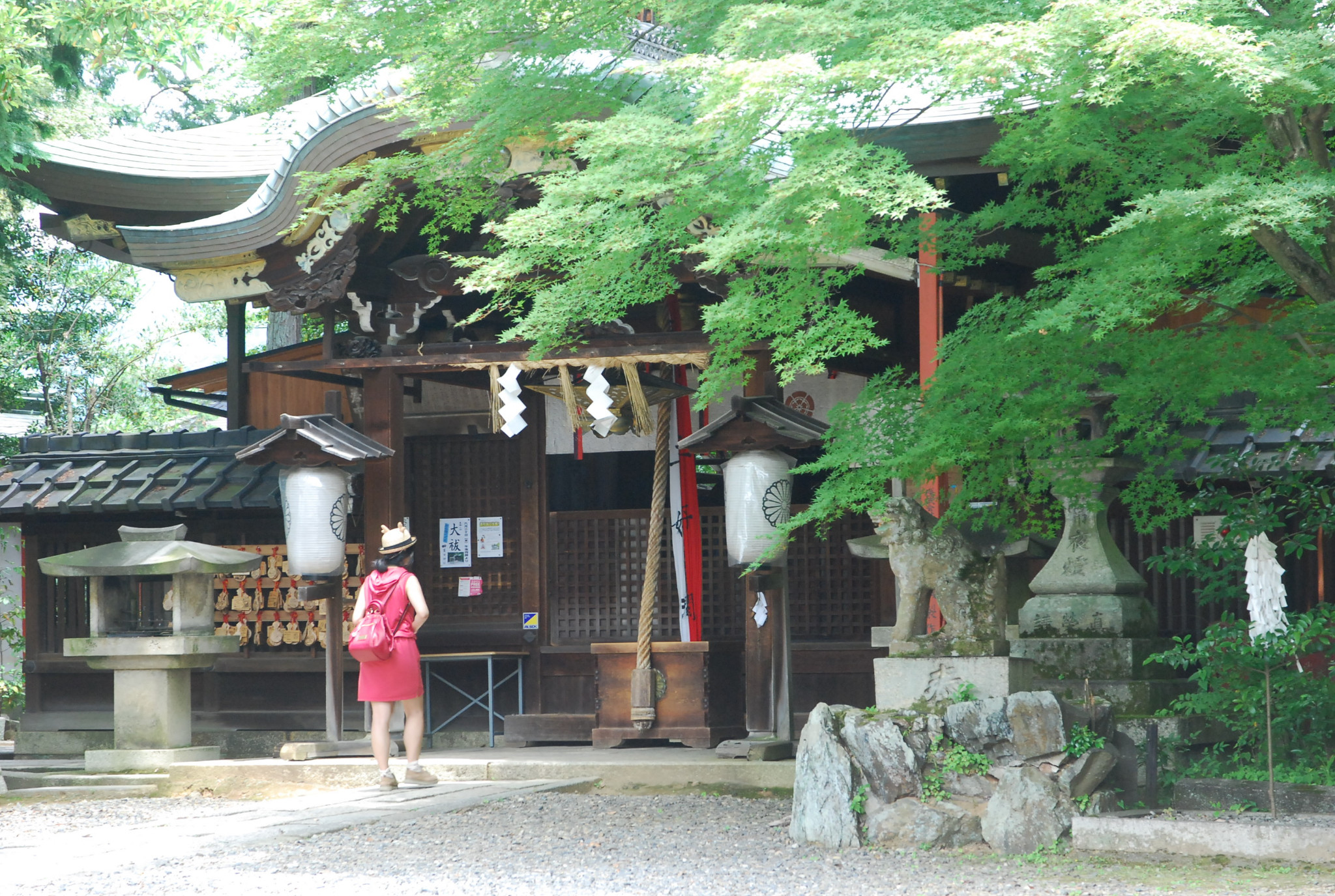 京都自助遊攻略