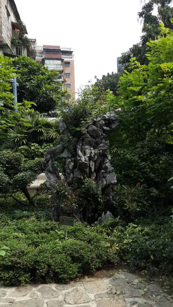 鸟儿岭游玩攻略,鸟儿岭游玩攻略一日游