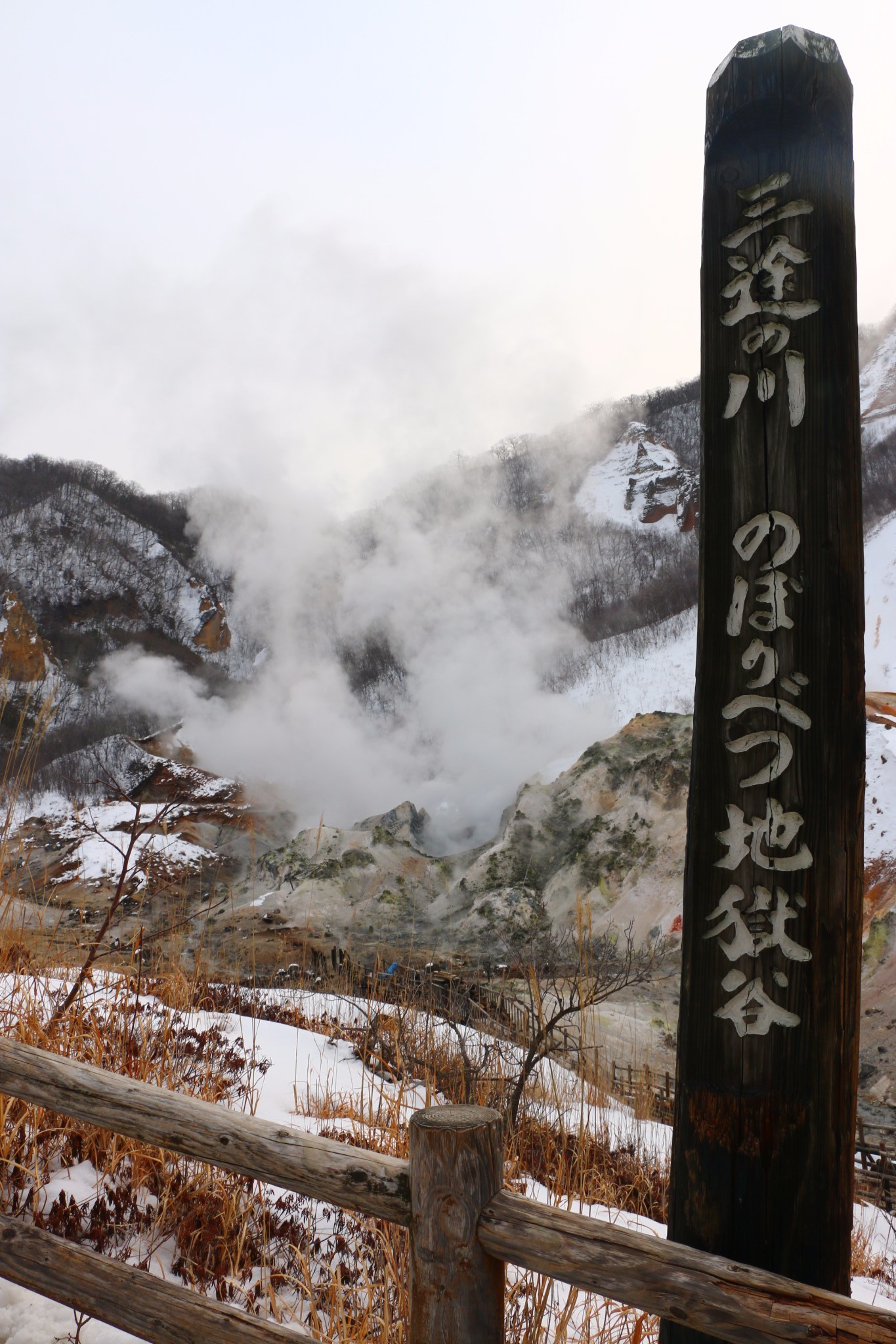 北海道自助遊攻略