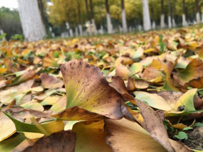 马蜂窝怎么找最好方法 wKgBs1gXD_WAIdjuAAHQFLNw1GA18.jpeg?imageView2%2F2%2Fw%2F680%2Fq%2F90