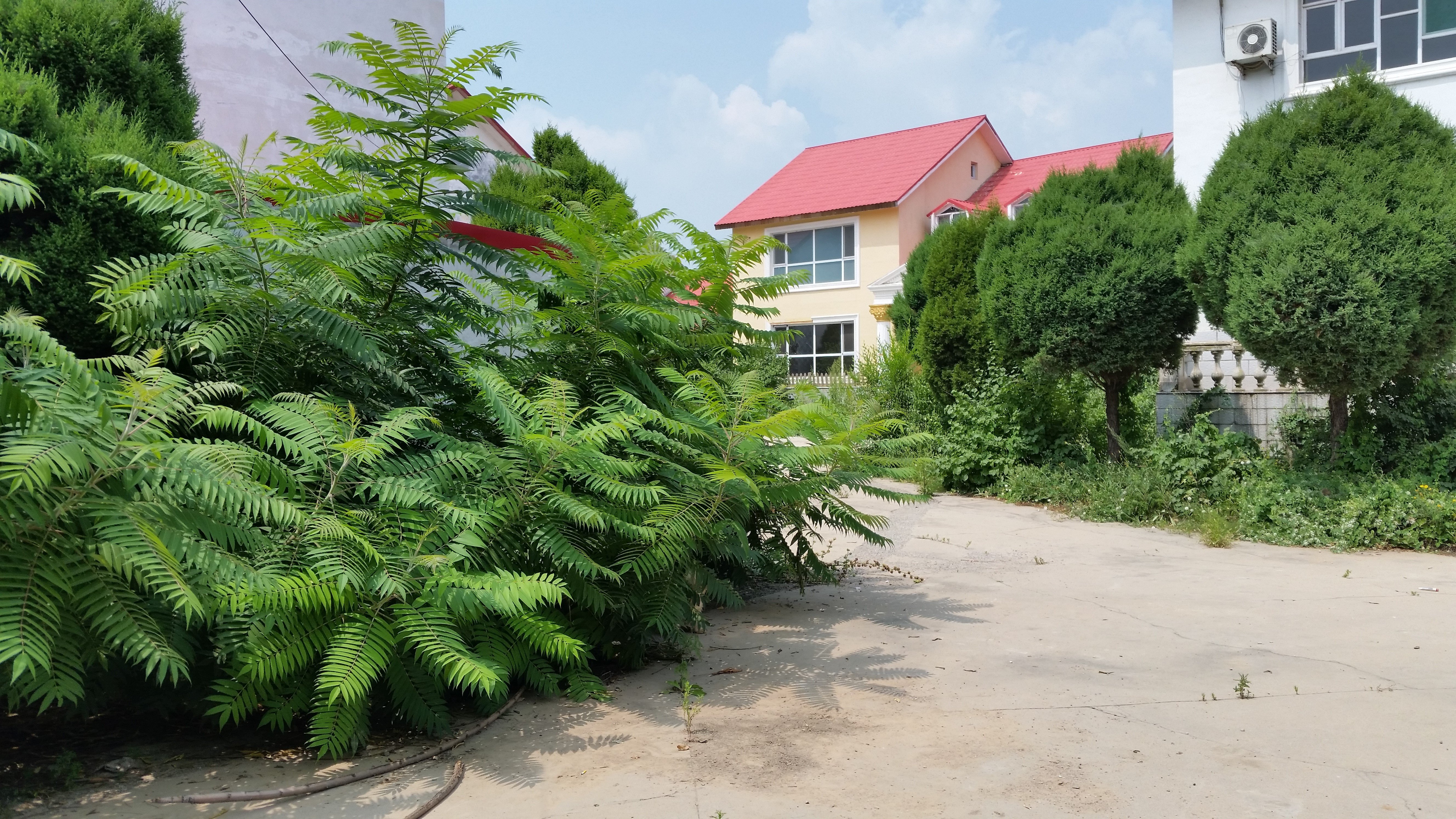 忻州顿村温泉度假村鑫源别墅