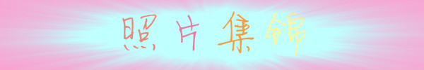 照片集锦 照片集锦