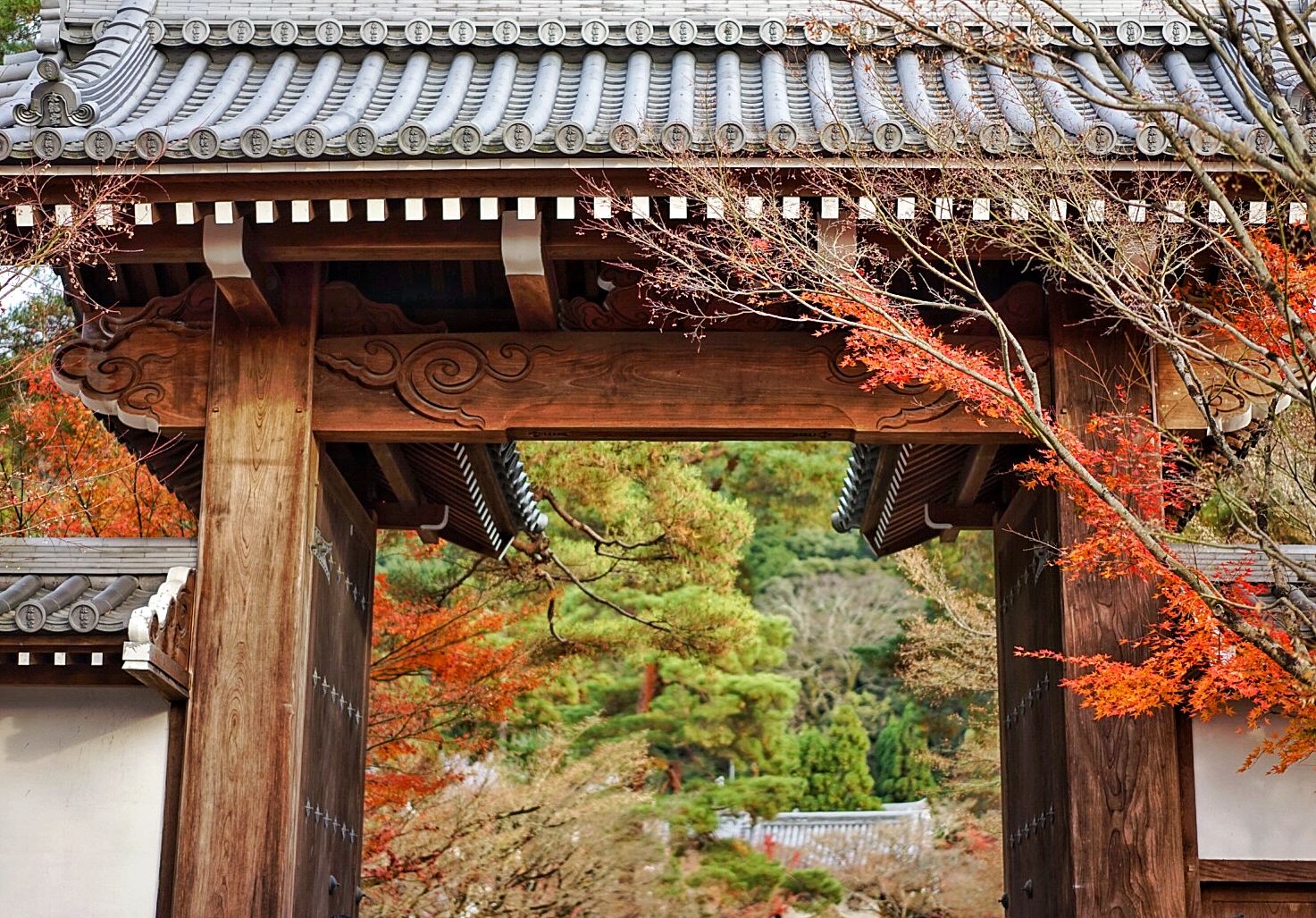 京都自助遊攻略