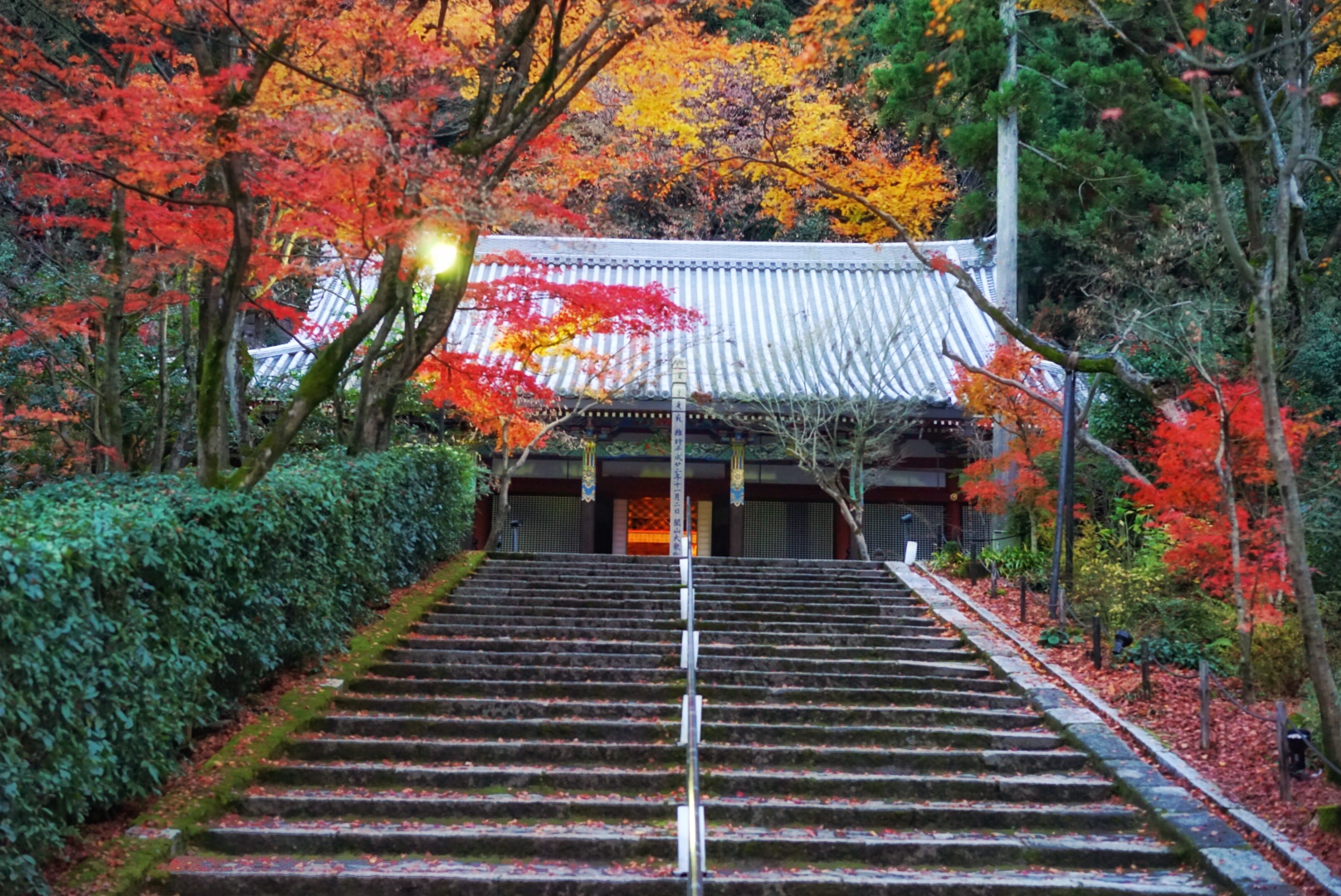 京都自助遊攻略