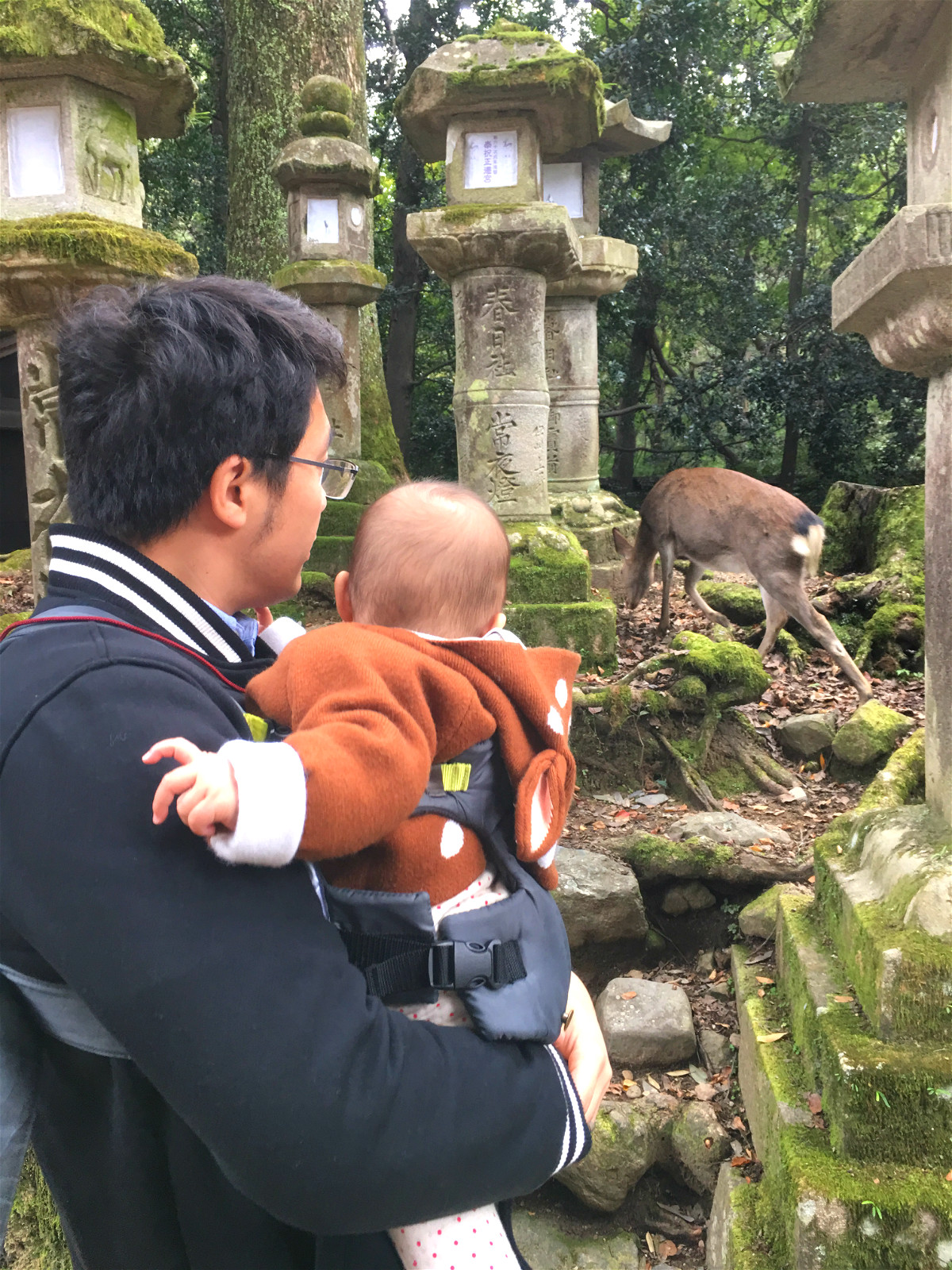 京都自助遊攻略