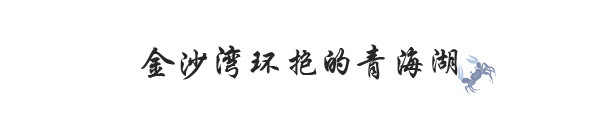 金沙湾环抱的青海湖 金沙湾环抱的青海湖