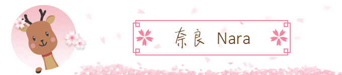 奈良看小鹿♪(^∇^*) 奈良看小鹿♪(^∇^*)