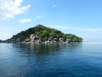 Snorkeling Snorkeling