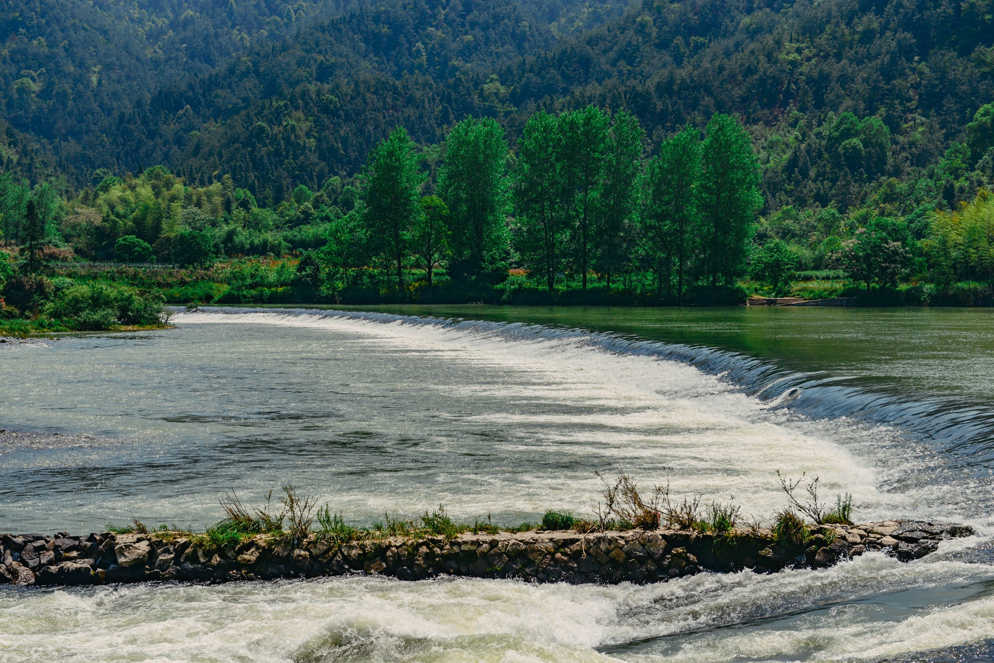 【丽水】你有放不下的王子与白马,我有弃不了的田园与木屋
