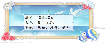 20日 20日
