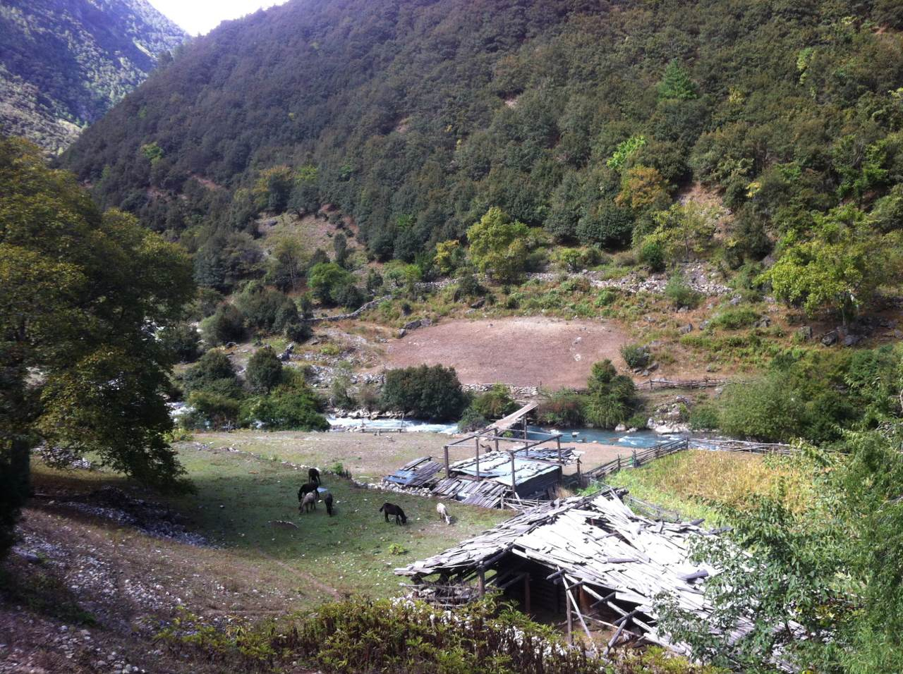 雨崩自助遊攻略