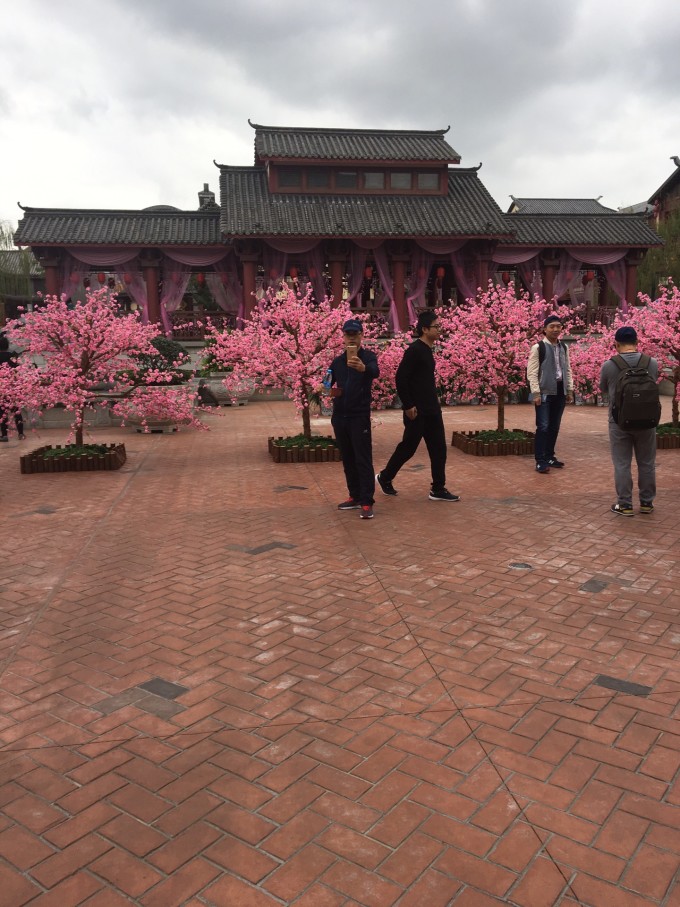 我到外地去看你-慈溪鸣鹤古镇+宁波方特东方神