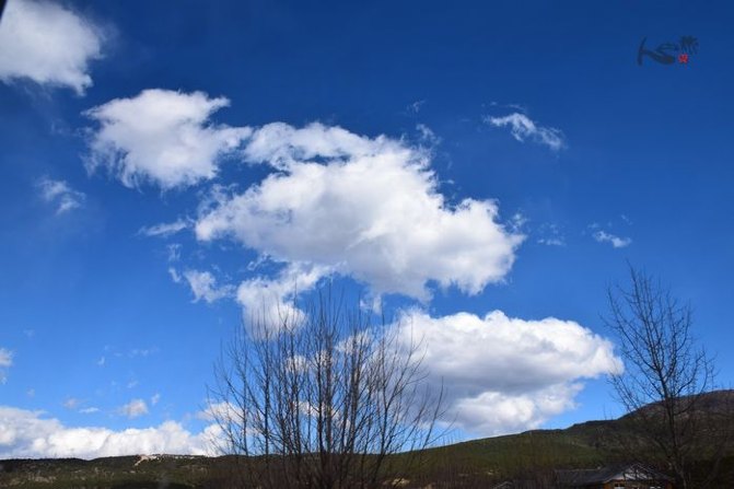 wKgBs1ZAIVyALrfTAAC47rkxlhI46.jpeg?imageView2%2F2%2Fw%2F680%2Fq%2F90%7CimageMogr2%2Fstrip%2Fquality%2F90