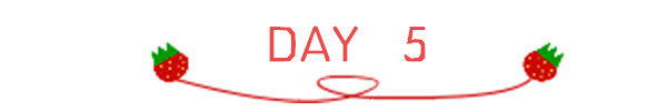 DAY 5 DAY 5