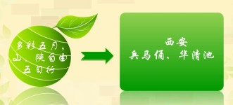 兵马俑、华清池 兵马俑、华清池