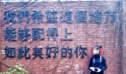 汉阳造 汉阳造
