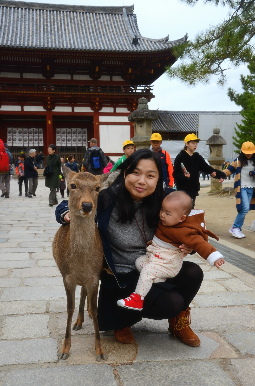 京都自助遊攻略