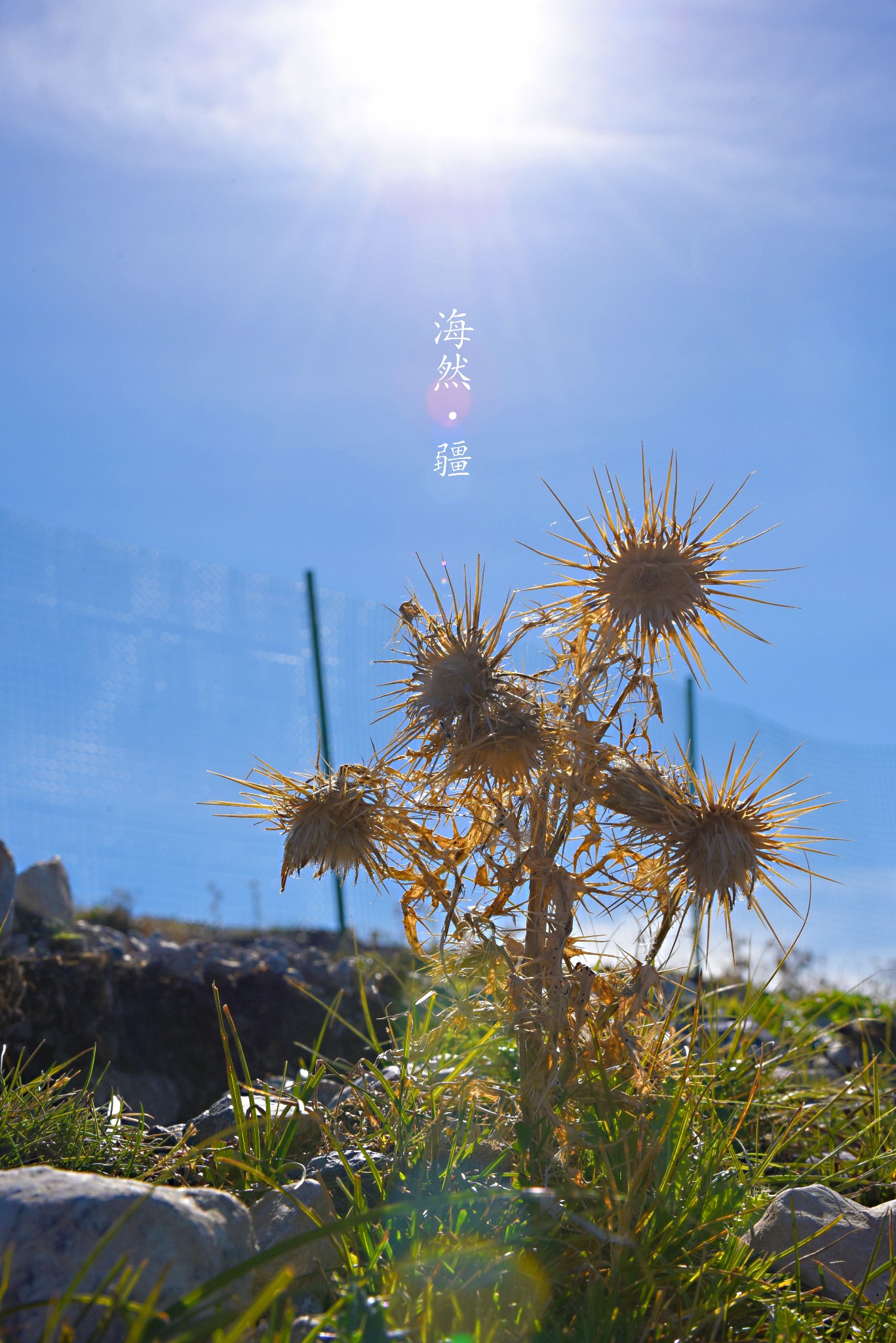 海然·在那遥远的北疆.