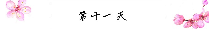第十一天 第十一天