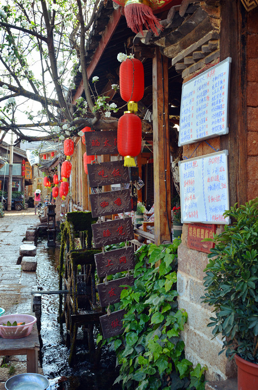 麗江自助遊攻略