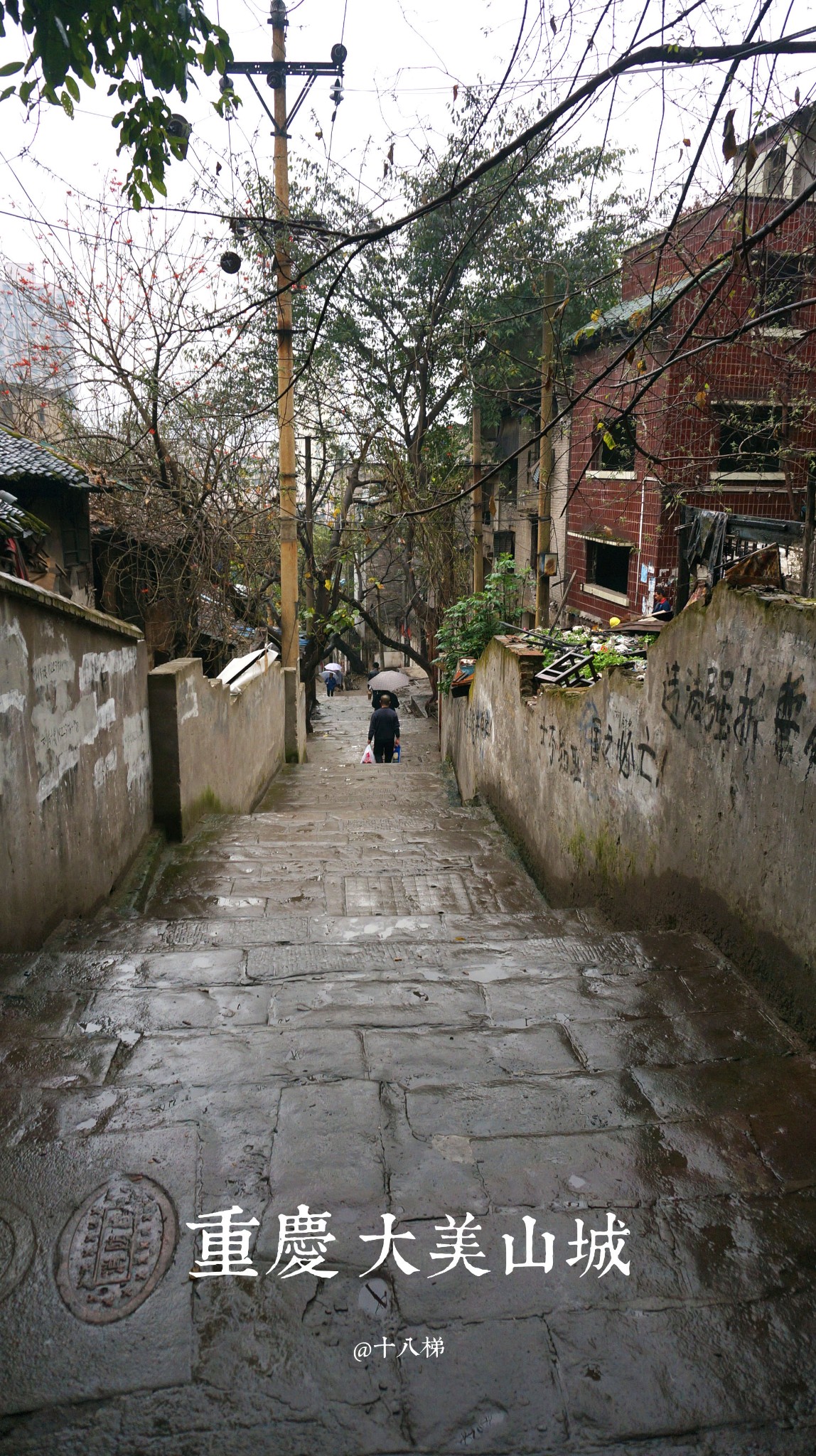 城步有多少人口_城步南山牧场