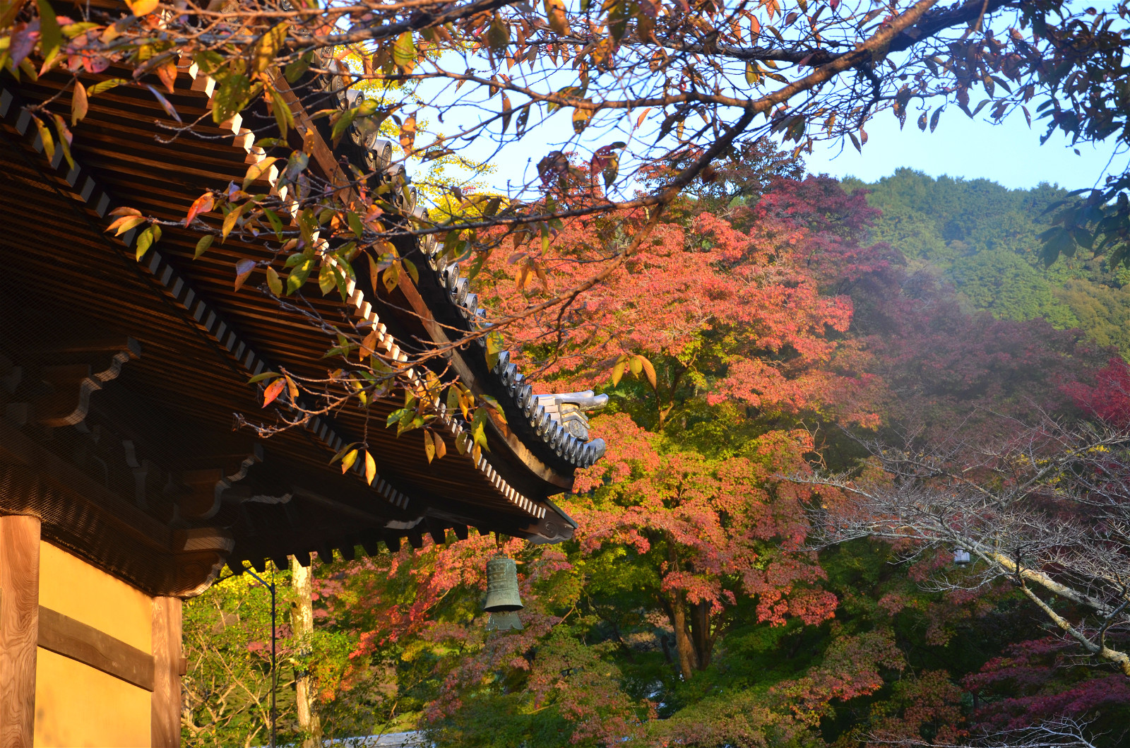 京都自助遊攻略