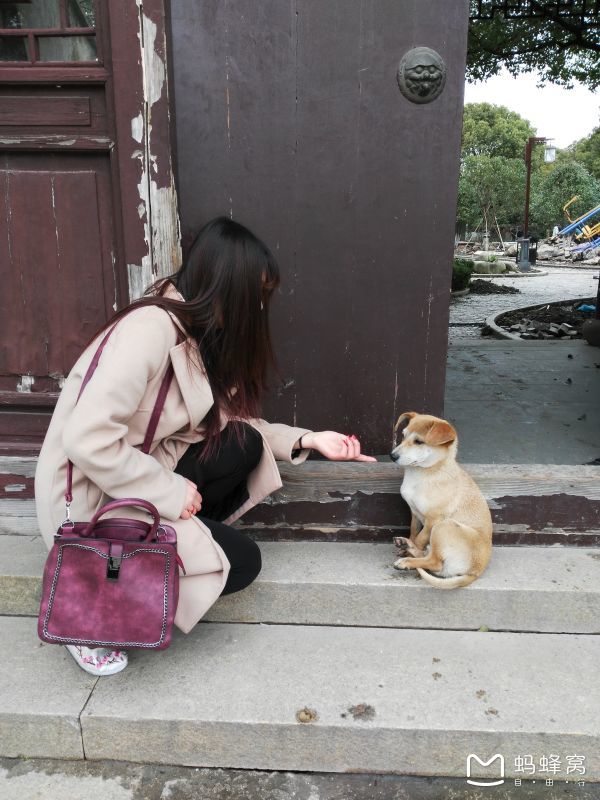 周莊自助遊攻略