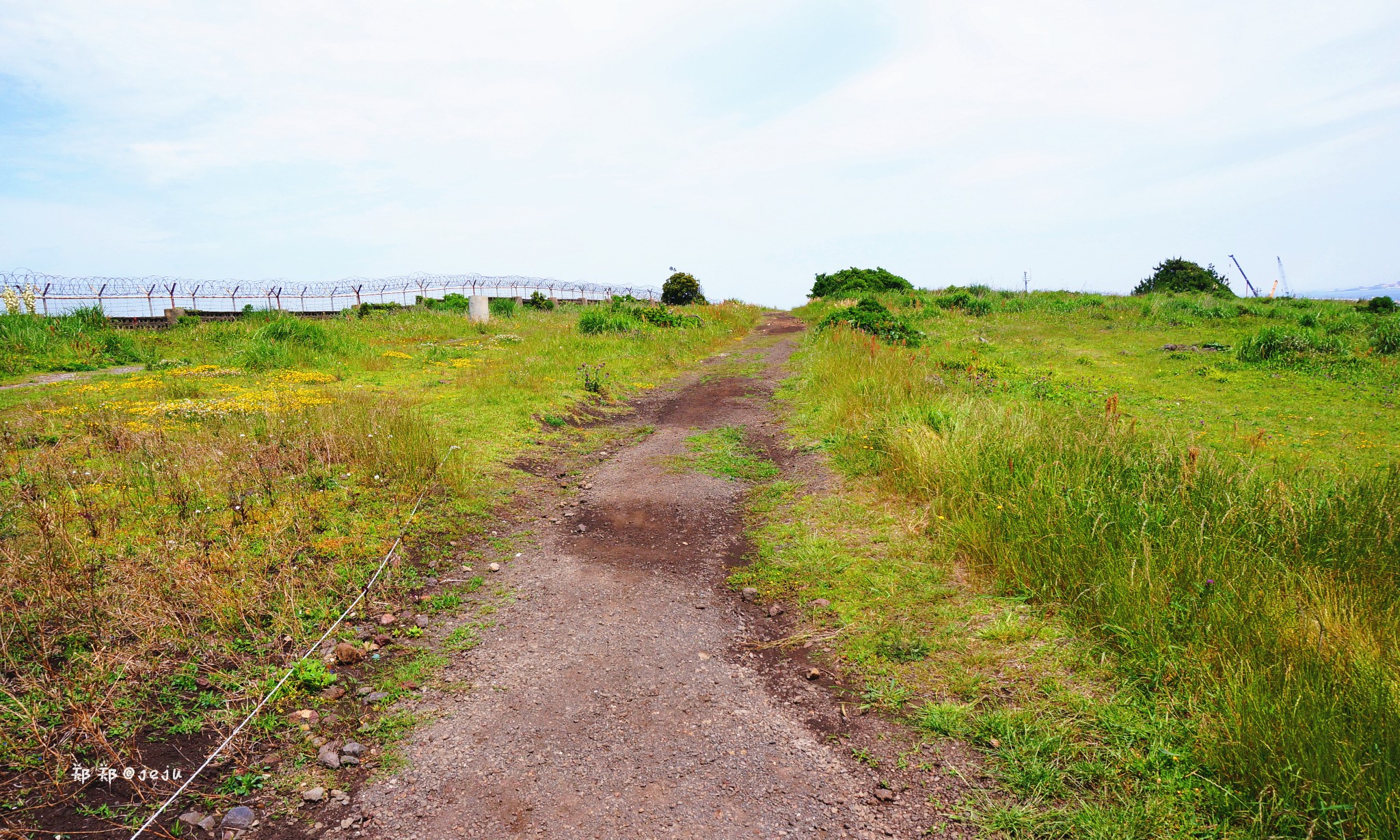 濟州島自助遊攻略