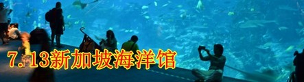 7.13新加坡圣淘沙-海洋馆等 7.13新加坡圣淘沙-海洋馆等