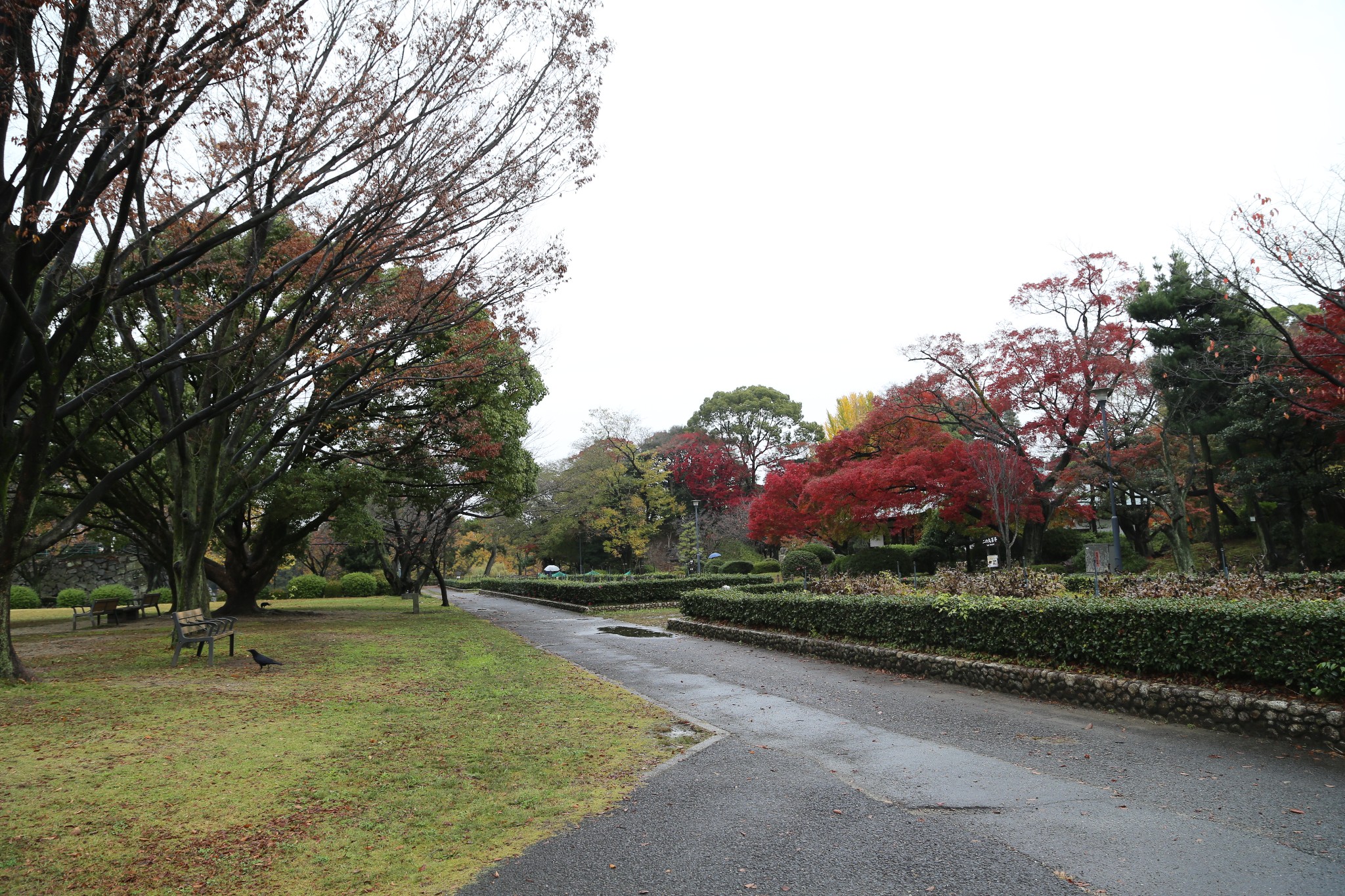 名古屋自助遊攻略