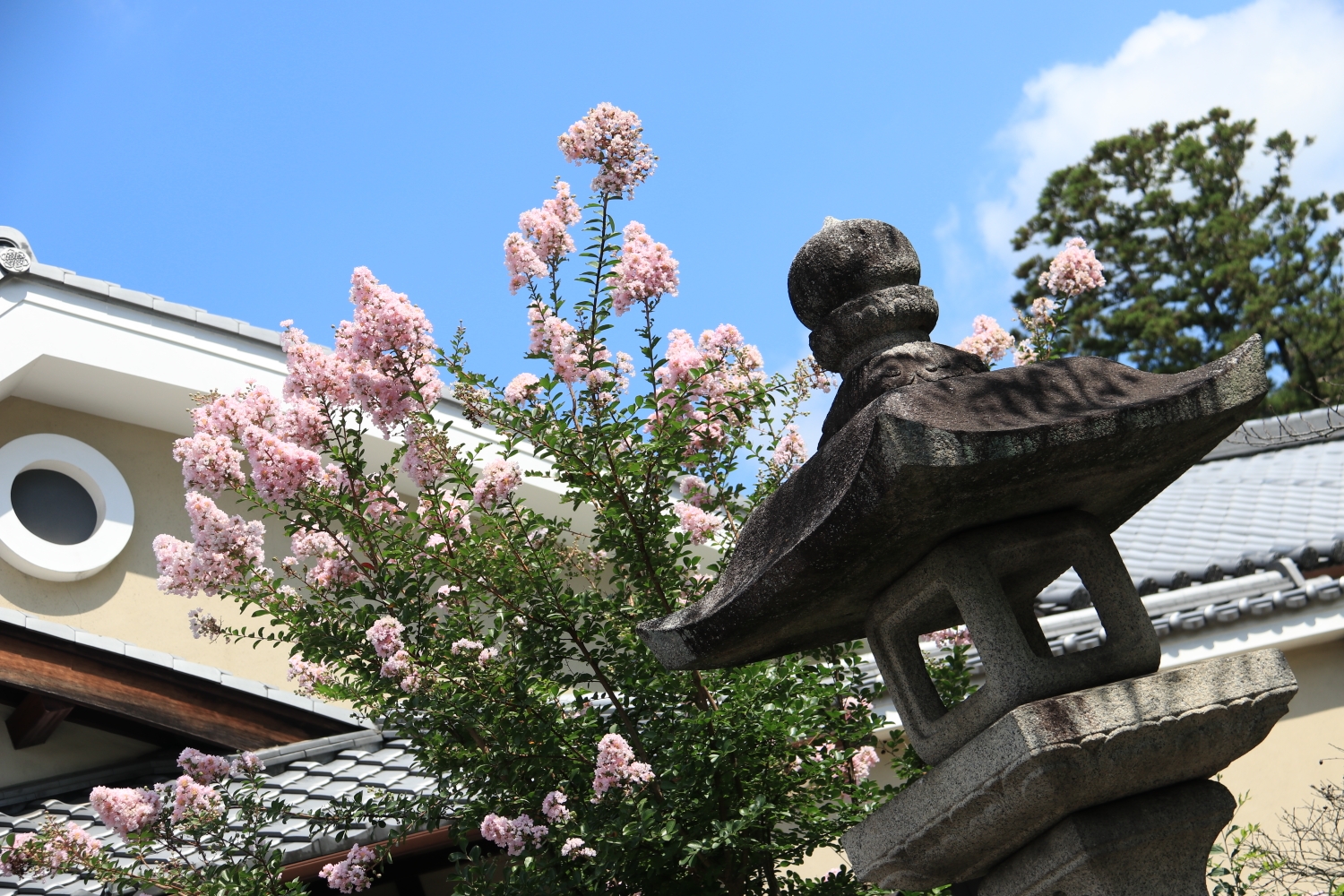 京都自助遊攻略