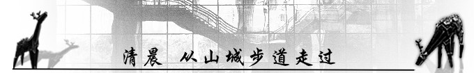 清晨 从山城步道走过 清晨 从山城步道走过
