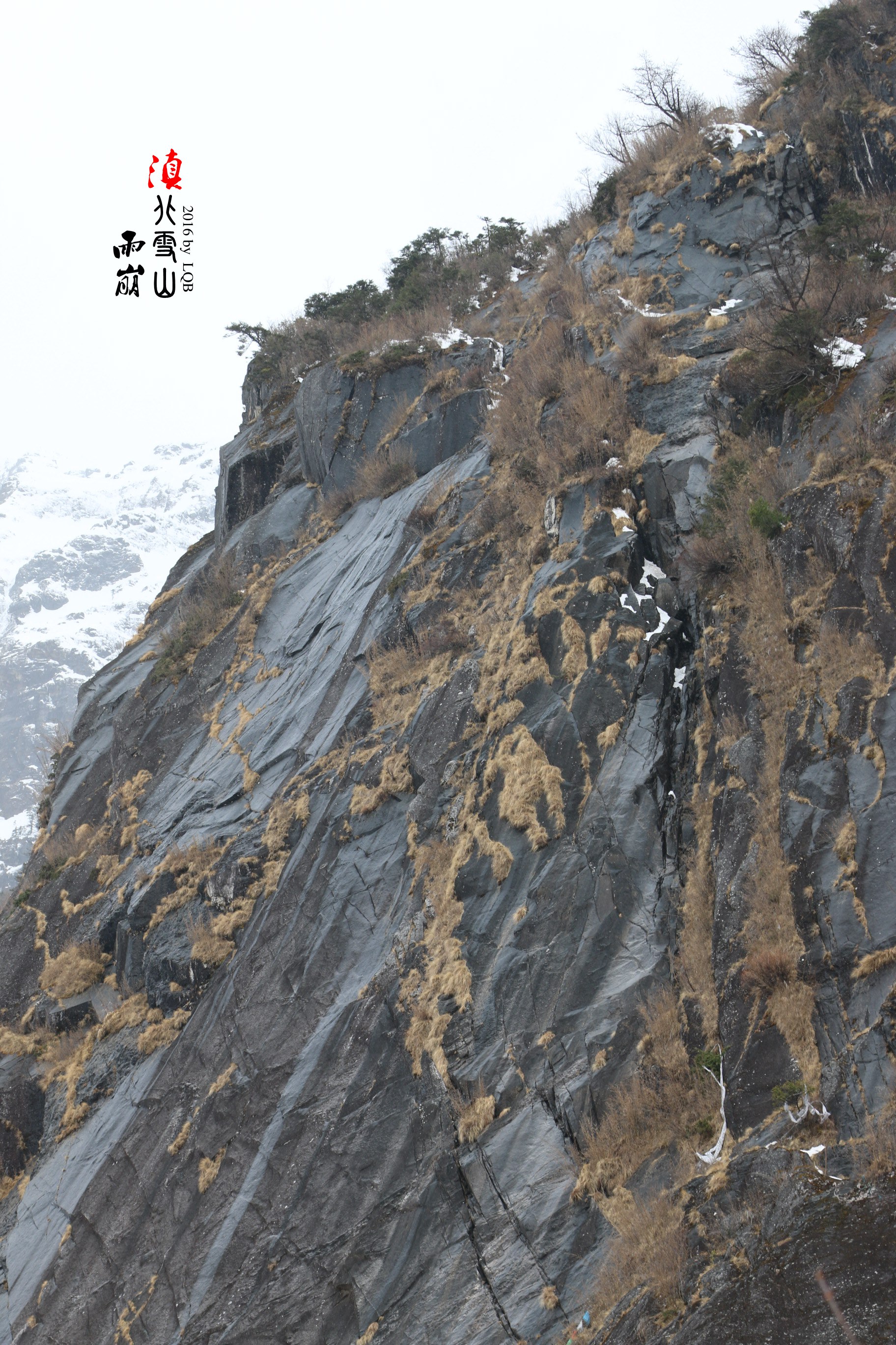 雨崩自助遊攻略