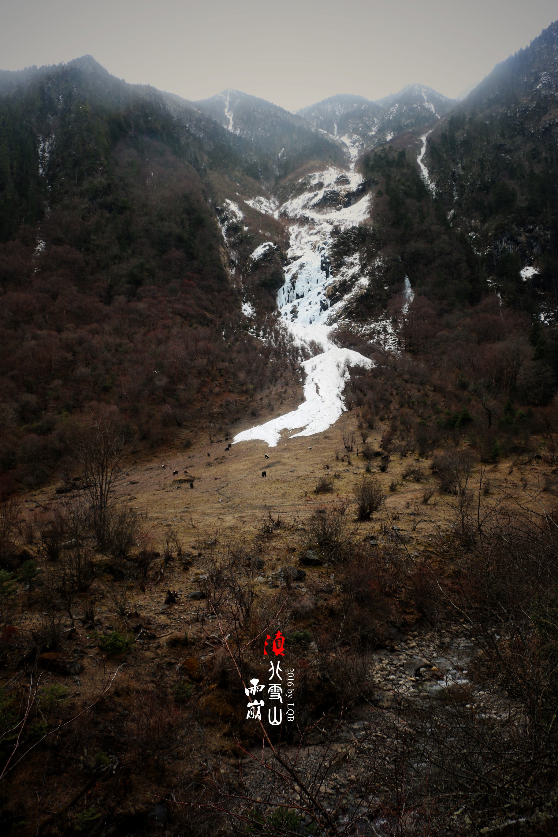 雨崩自助遊攻略