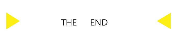 THE END THE END