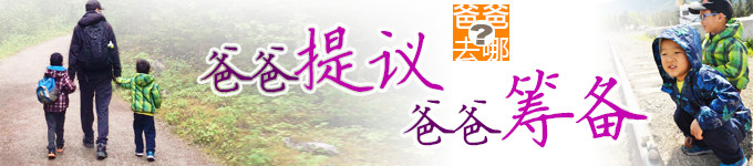 提议 提议