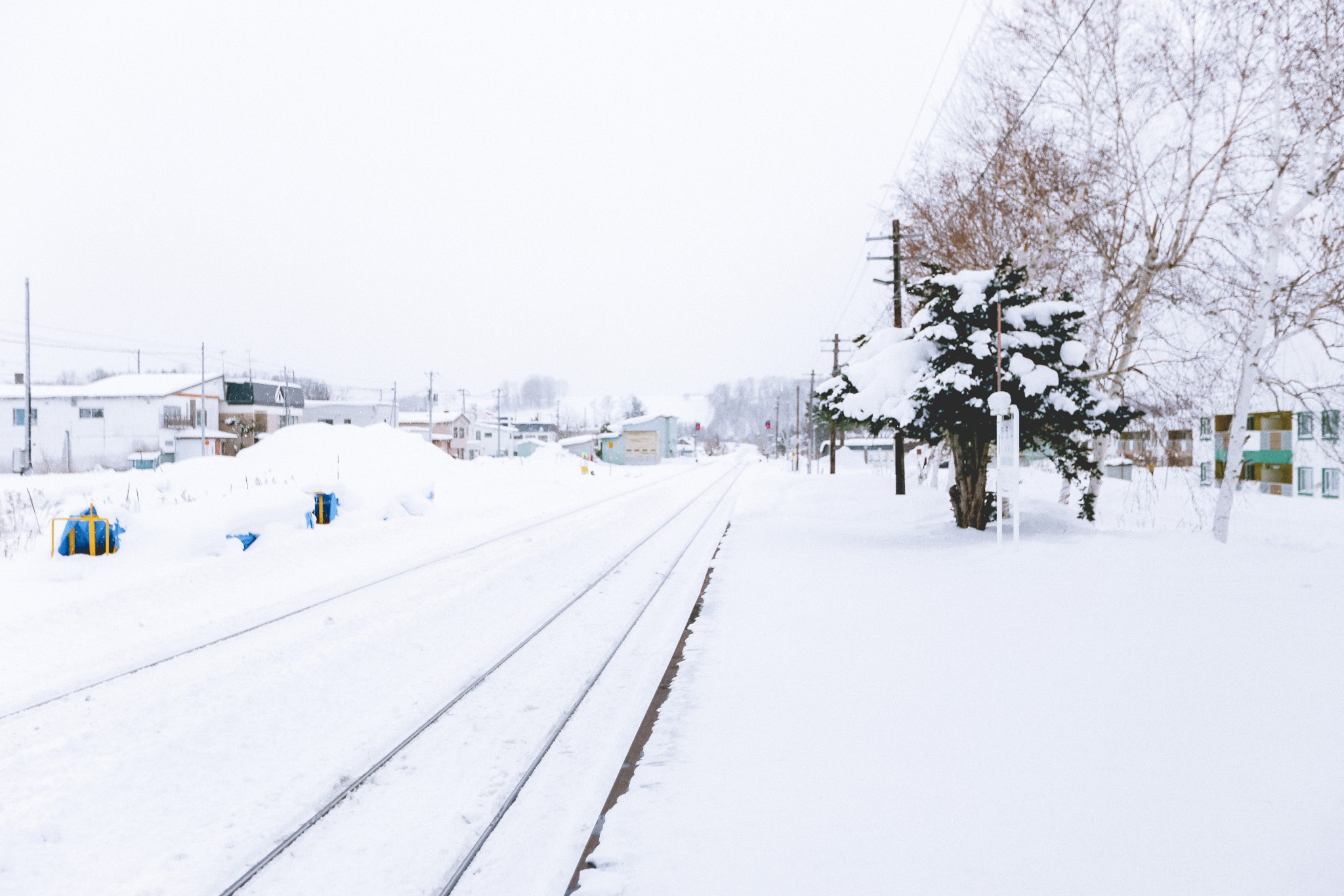 北海道自助遊攻略