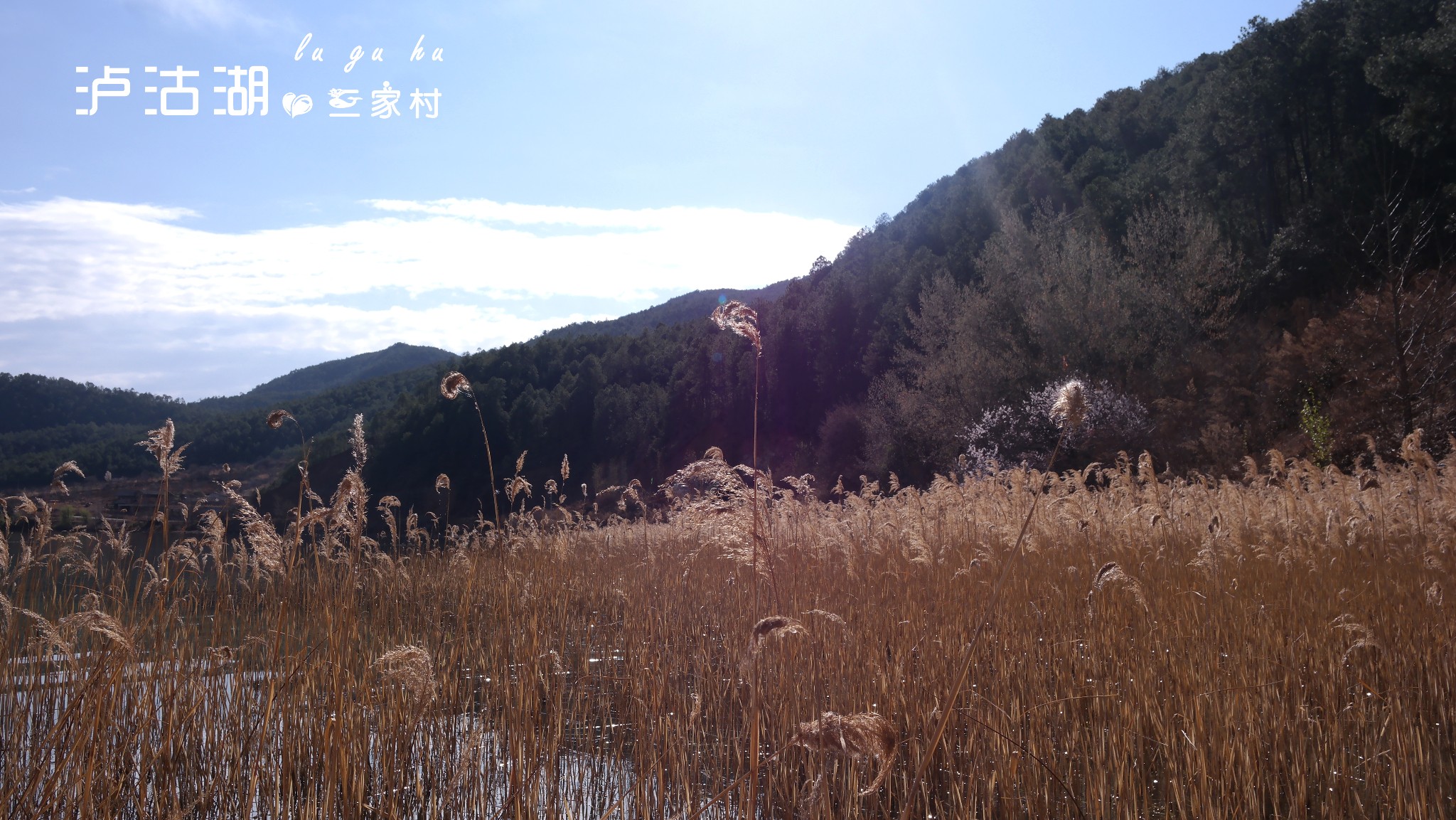 wKgBs1cGCIuAQ0rnAApauQve-Hk29.jpeg?imageView2%2F2%2Fw%2F680%2Fq%2F90