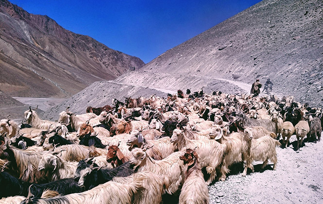 印度Spiti Valley，神之领土（上）