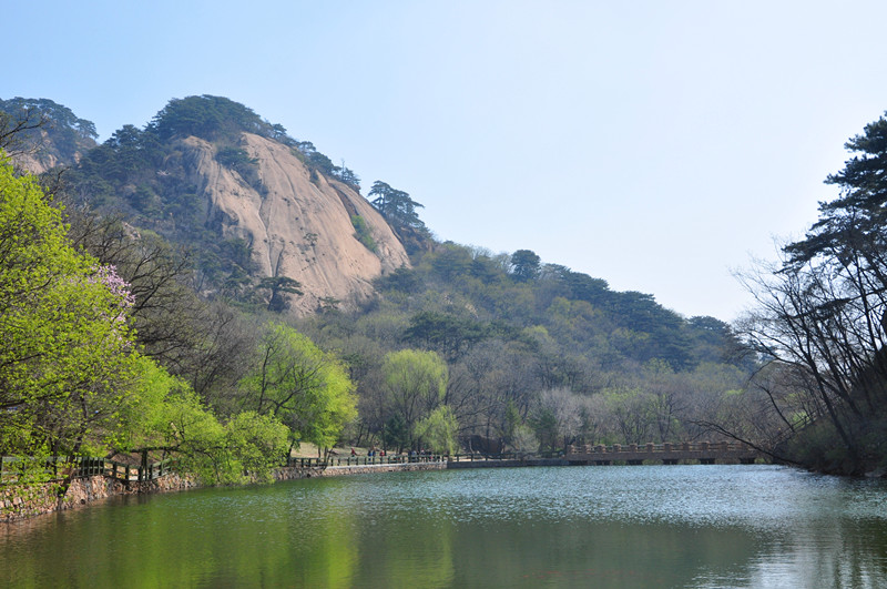 黄花甸镇人口_鞍山市岫岩黄花甸镇